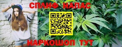 индика Пыть-Ях