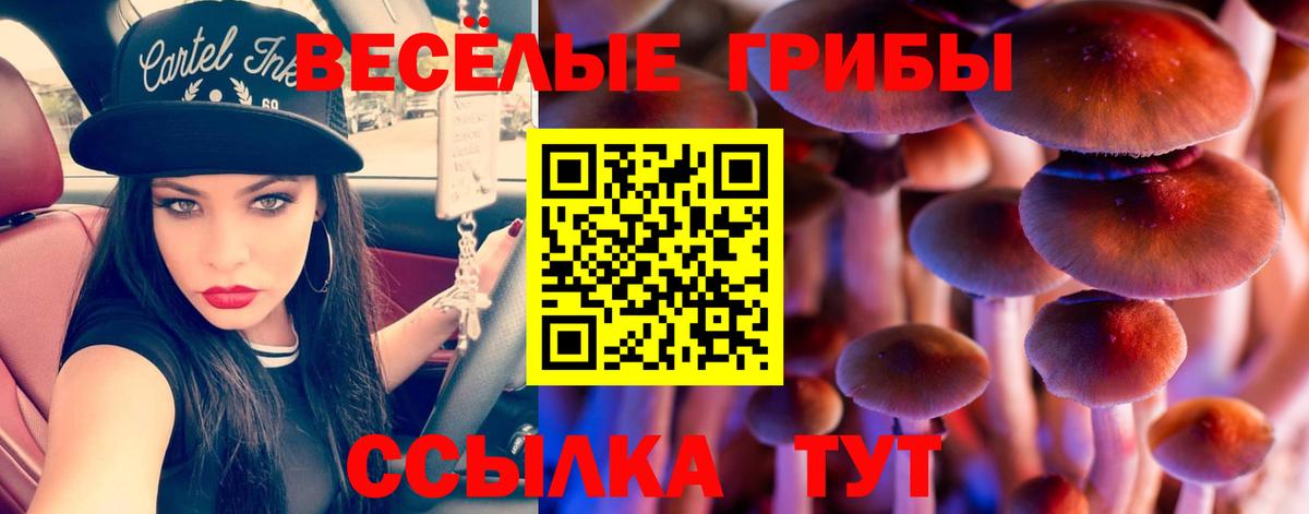 Галлюциногенные грибы мицелий  Псилоцибиновые грибы Magic Shrooms  Вход с VPN  где продают наркотики  Саратов 